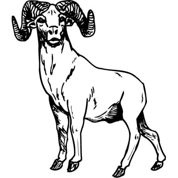 RAM009 Thumbnail