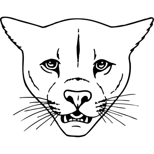 CAT16 Thumbnail