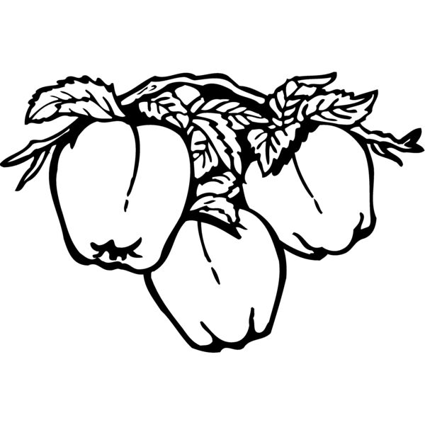 FRUIT030 Thumbnail