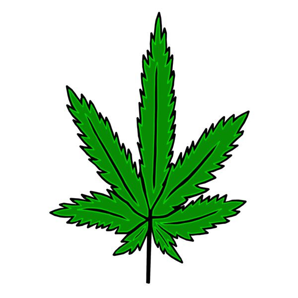 DOPE PLANT LEAF Thumbnail